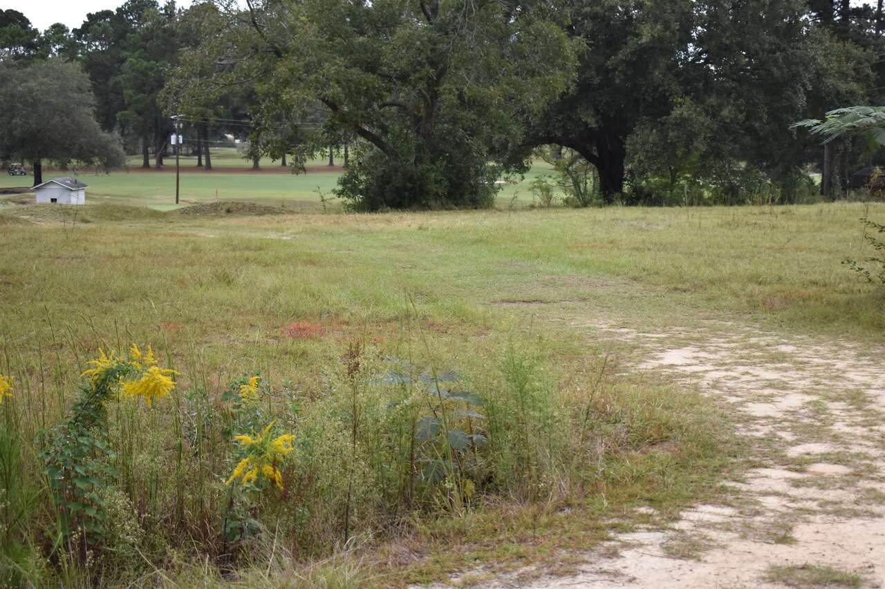 0 Brannen Rd Lot (1.113 Ac) - Photo 1
