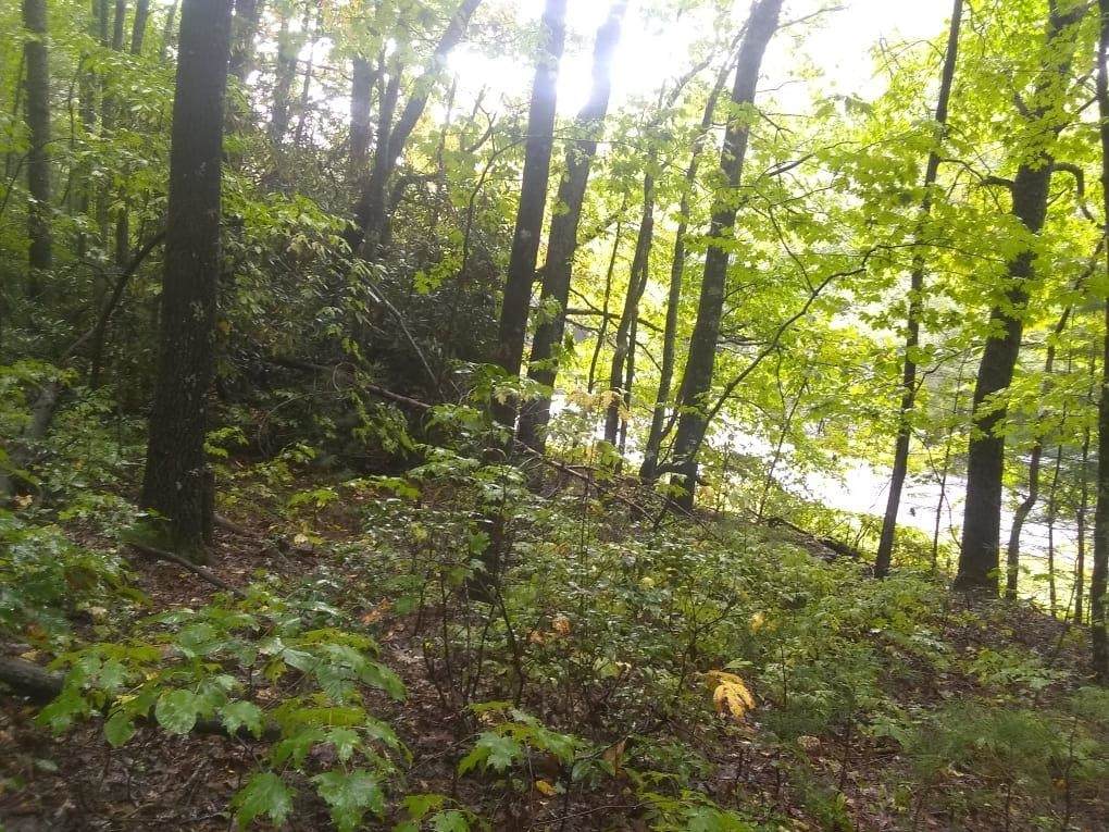 0 Bald Mtn Road - Photo 1