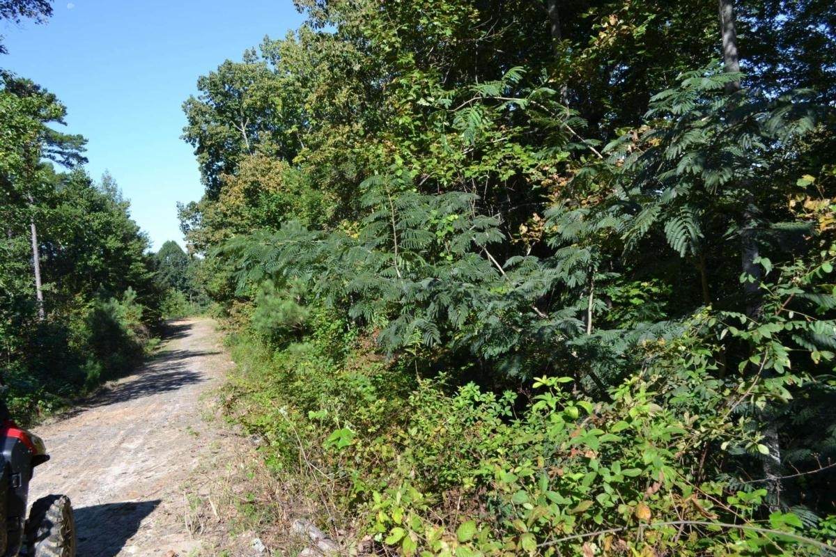 00002 Brushy Mountain Road - Photo 1