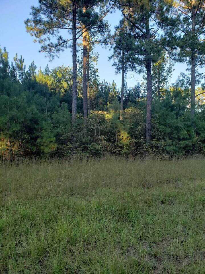 0 Crest Highway - Photo 1
