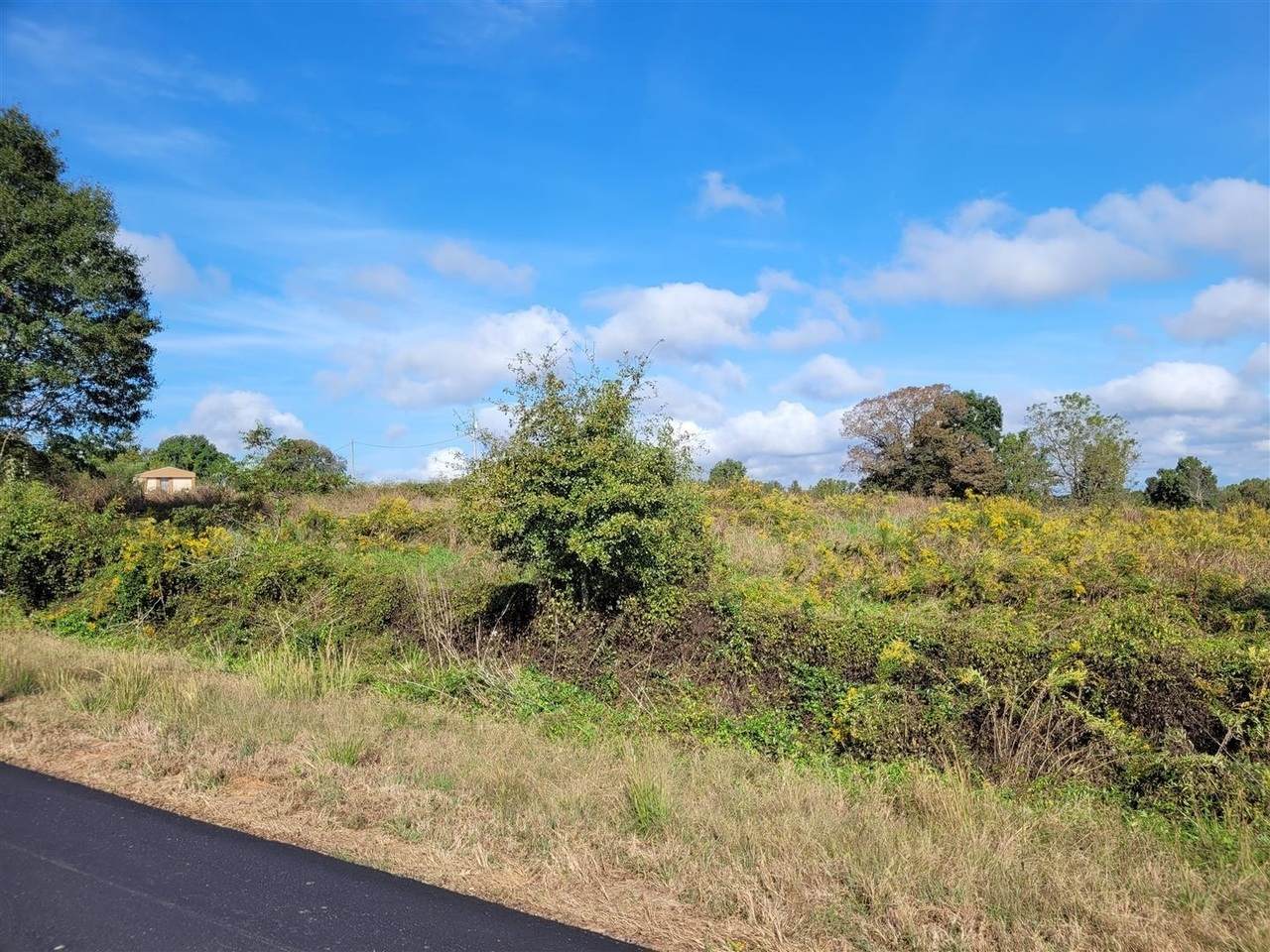 0 Deadwyler Road - Photo 1