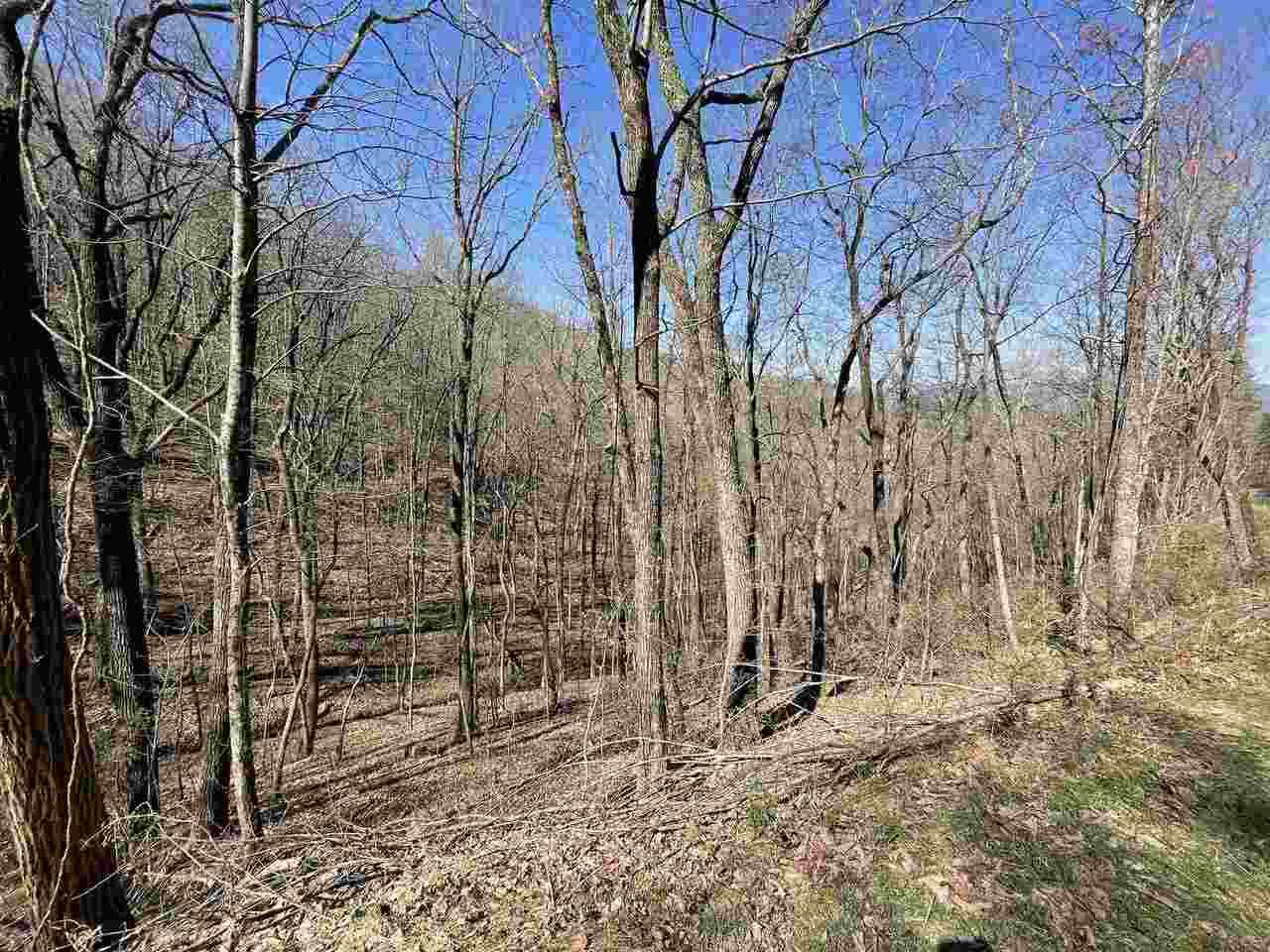 0 Matterhorn Drive - Photo 1