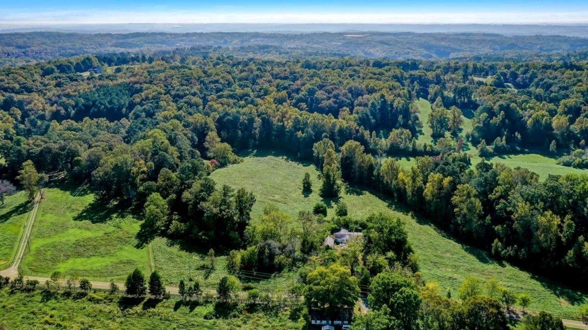 546 Worley Road - Photo 1