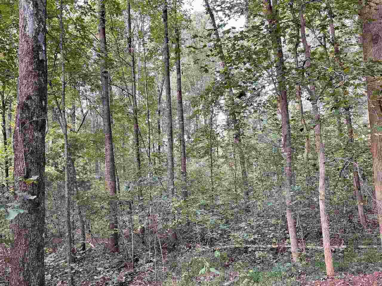 0 Cedar Ridge Road - Photo 1