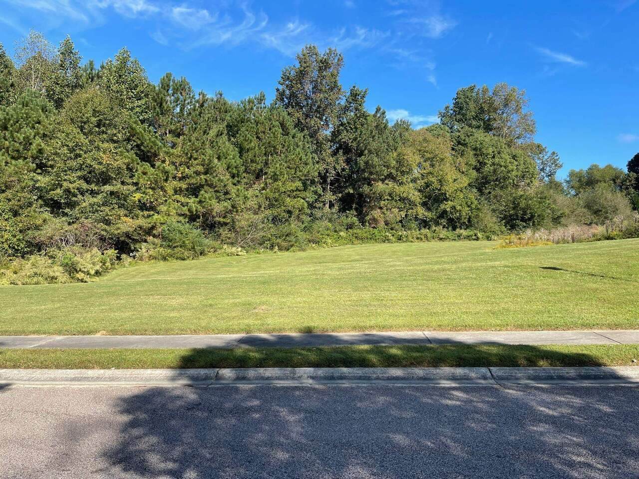 4238 Creek Water Drive - Photo 1