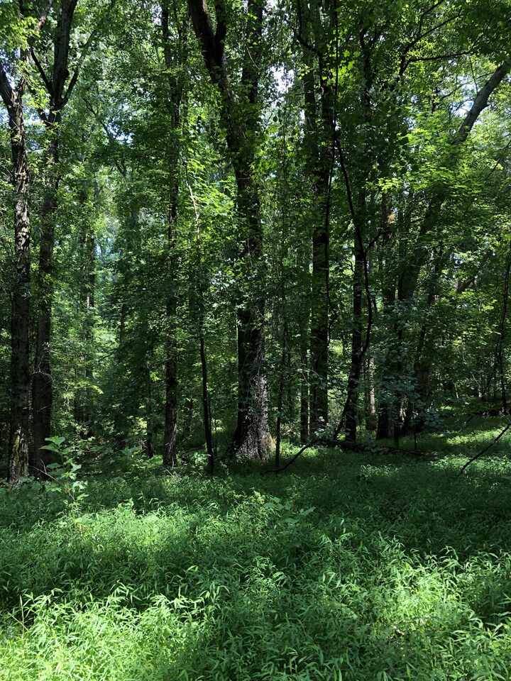 7204 Goddard Road - Photo 1