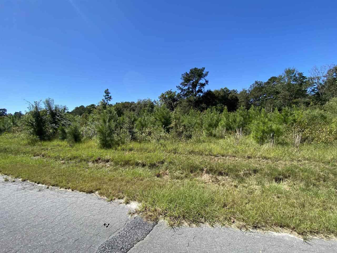 LOT 32 Harris Circle - Photo 1