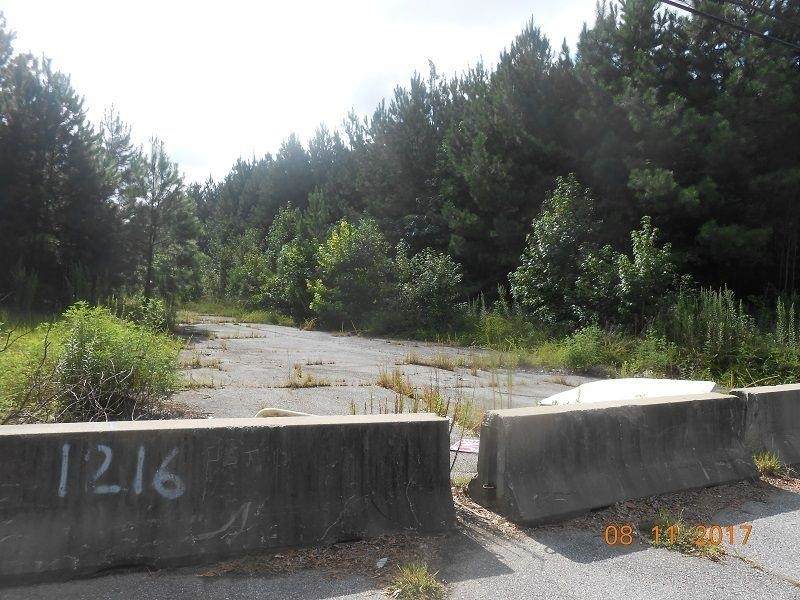 1216 New Hope Road - Photo 1