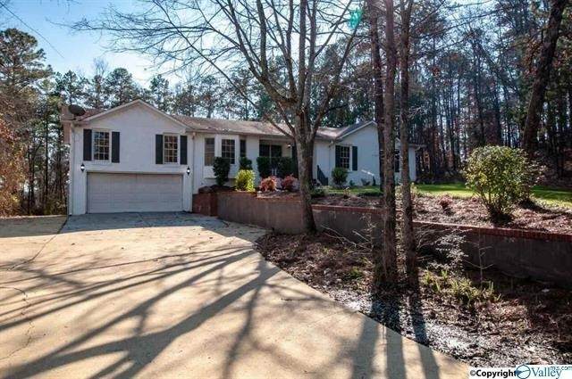 85 County Road 453 - Photo 1
