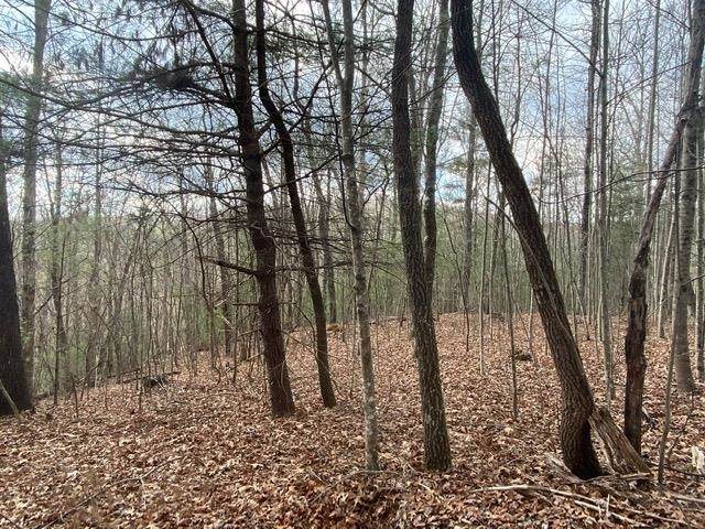 0 Boardtown Road - Photo 1