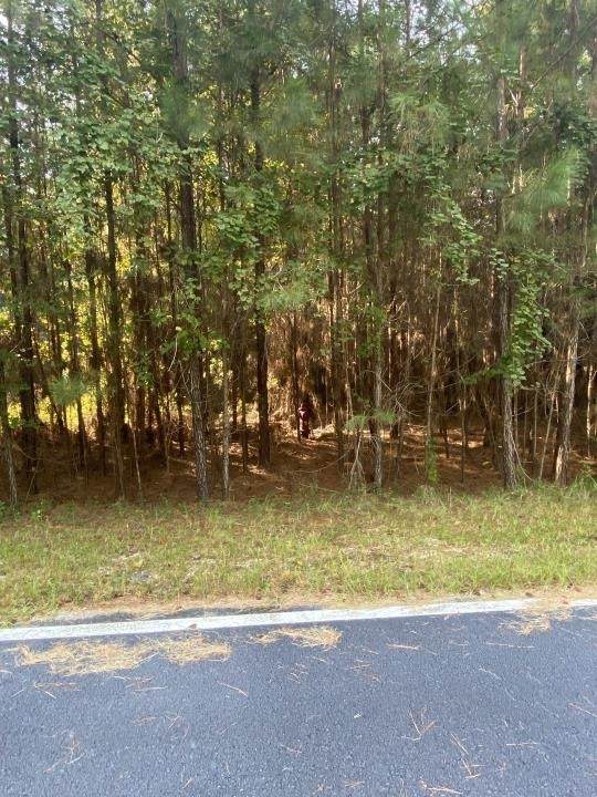 0 Marsh Way - Photo 1