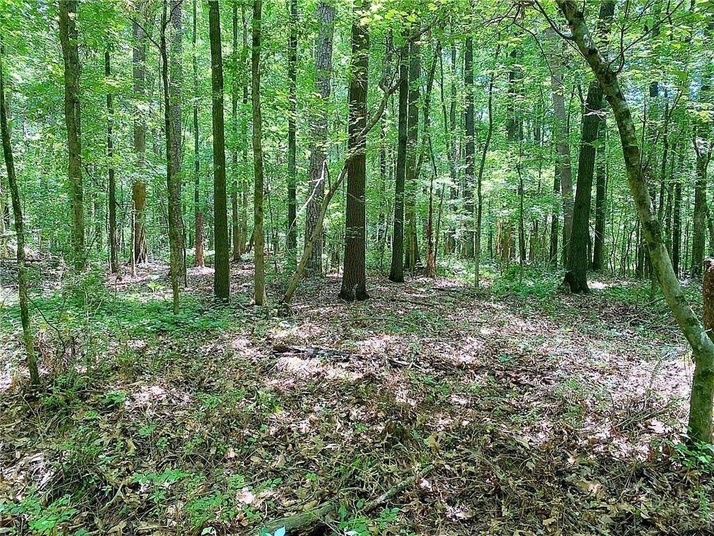 6900 3 Damascus Road - Photo 1