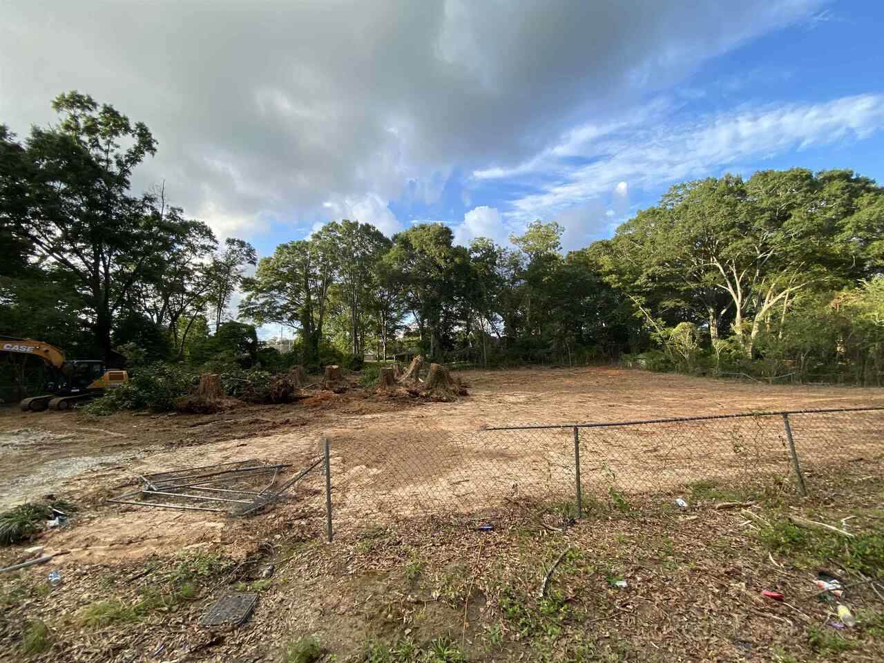 781 Mimosa - Photo 1