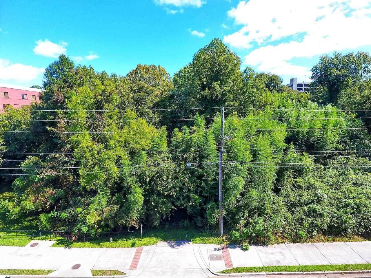 334 Roselane Street - Photo 1