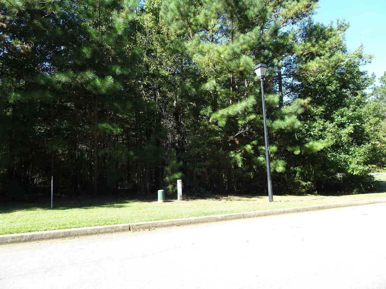 0 St Andrews Ct Court - Photo 1