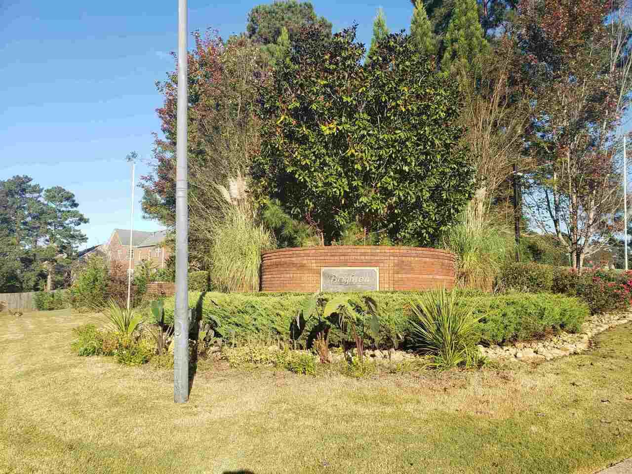 3159 Brighton Pass - Photo 1