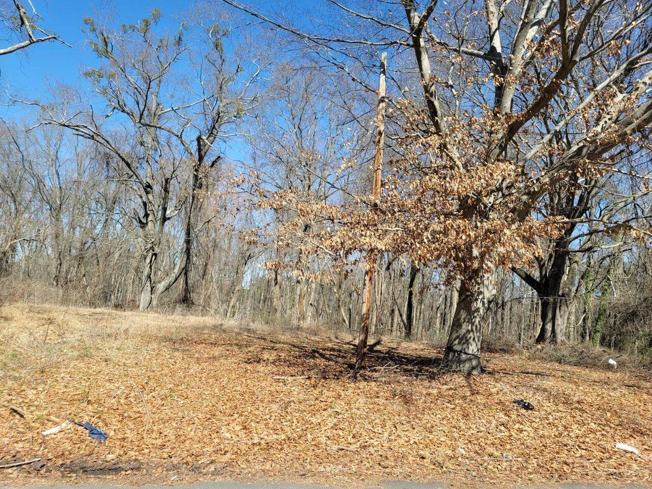 1410 Dillon Road - Photo 1