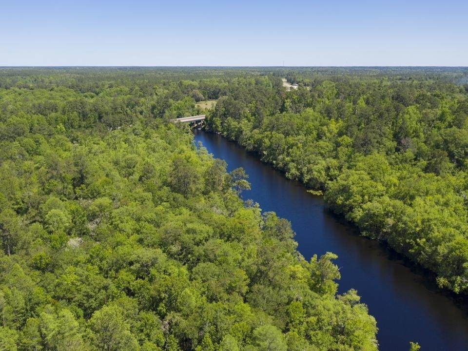 0 Black River Lndg - Photo 1