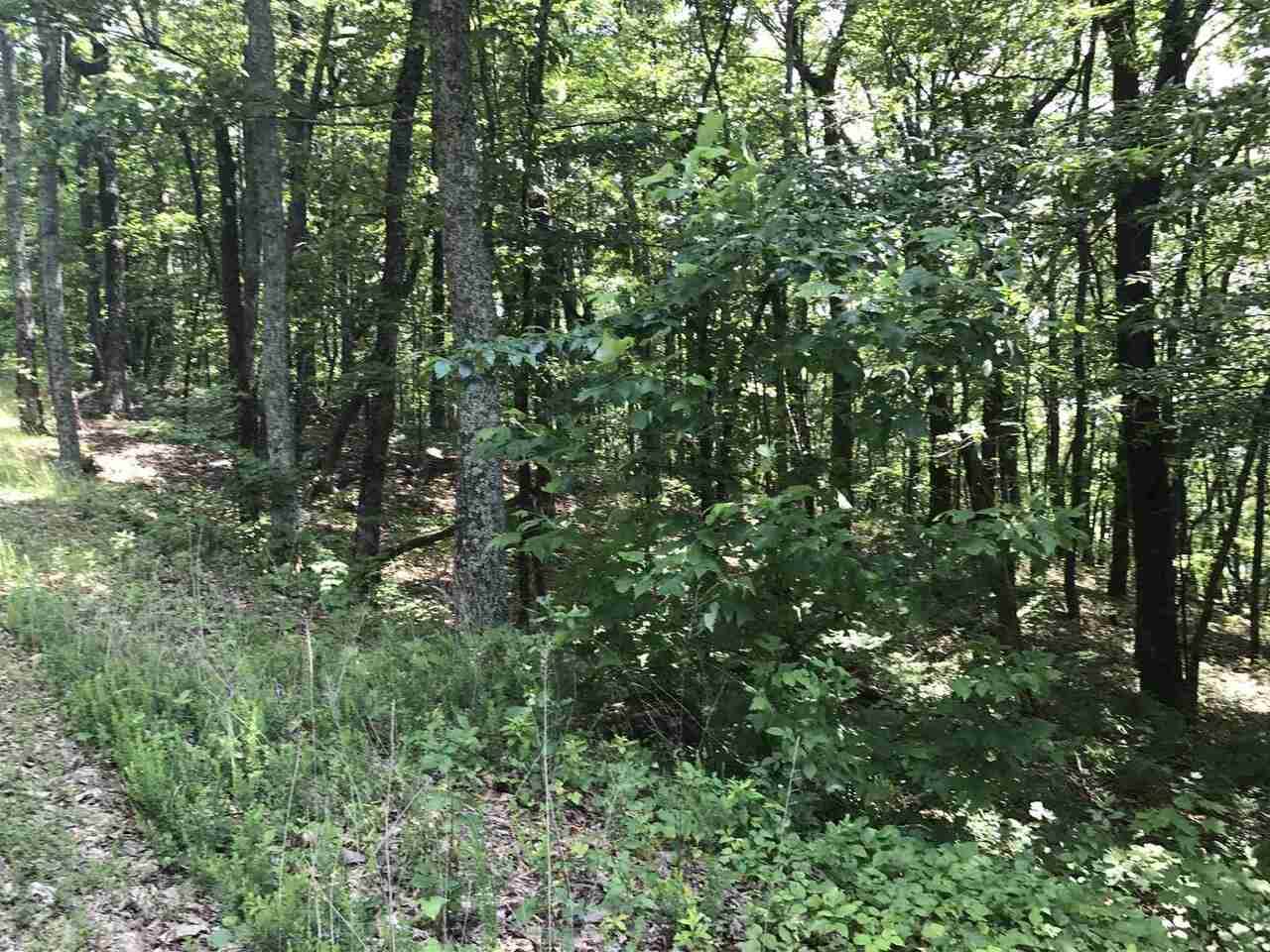 2 Mountain Oak - Photo 1