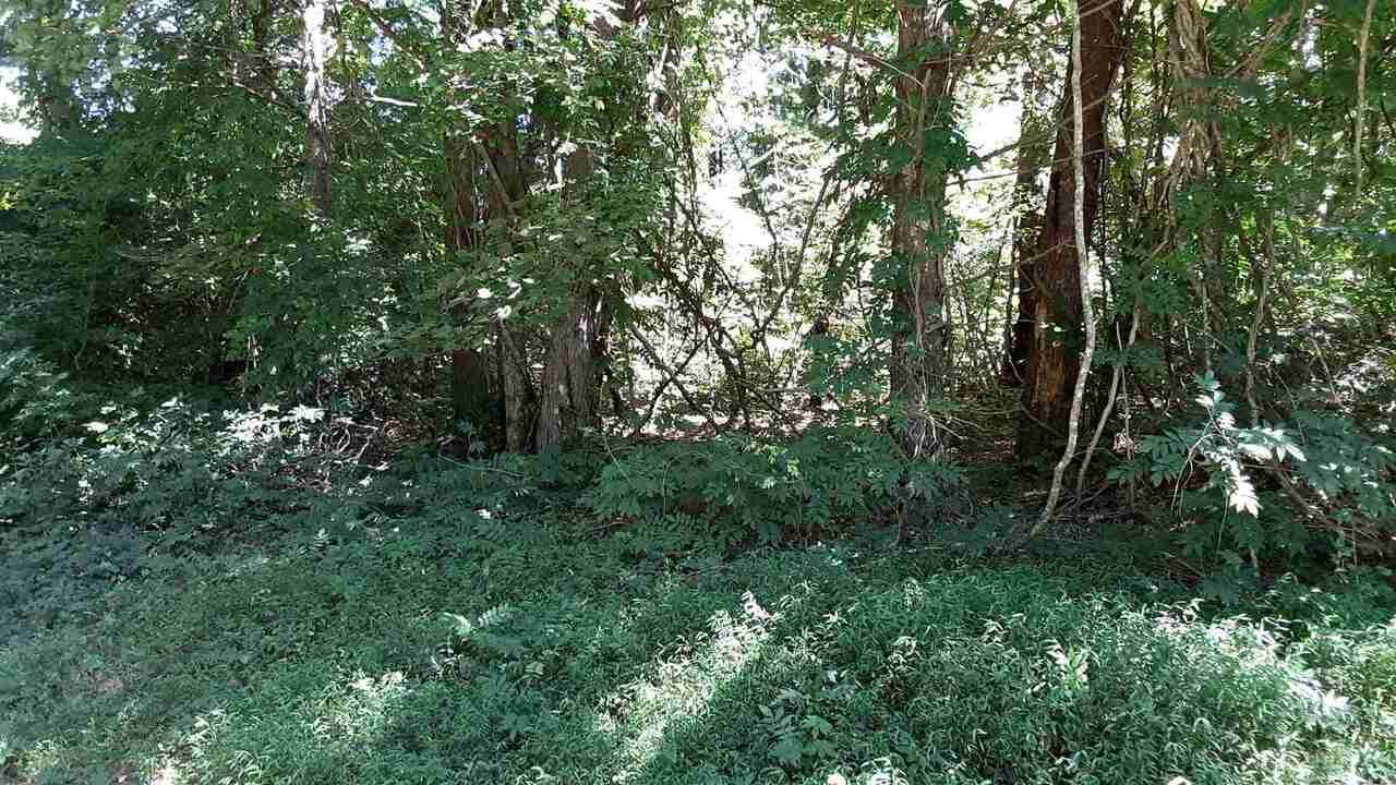 0 Deer Valley Est - Photo 1