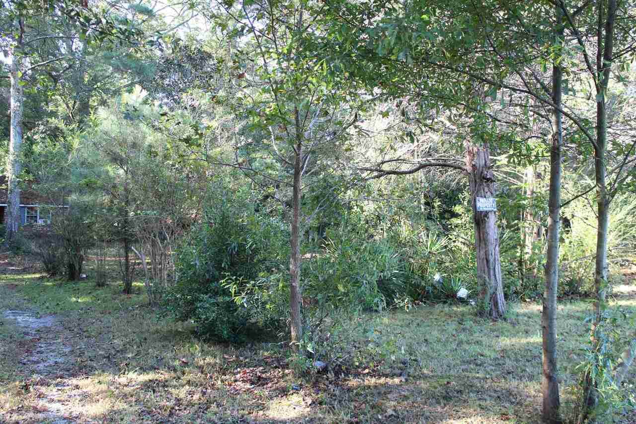 606 Lamar Hutcheson Parkway - Photo 1