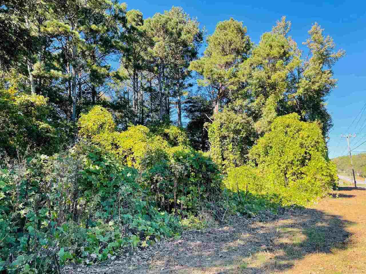 0 Highway 81 - Photo 1
