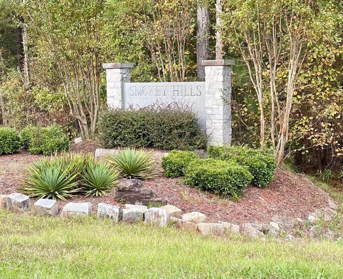 115 Blueberry Hills Court - Photo 1