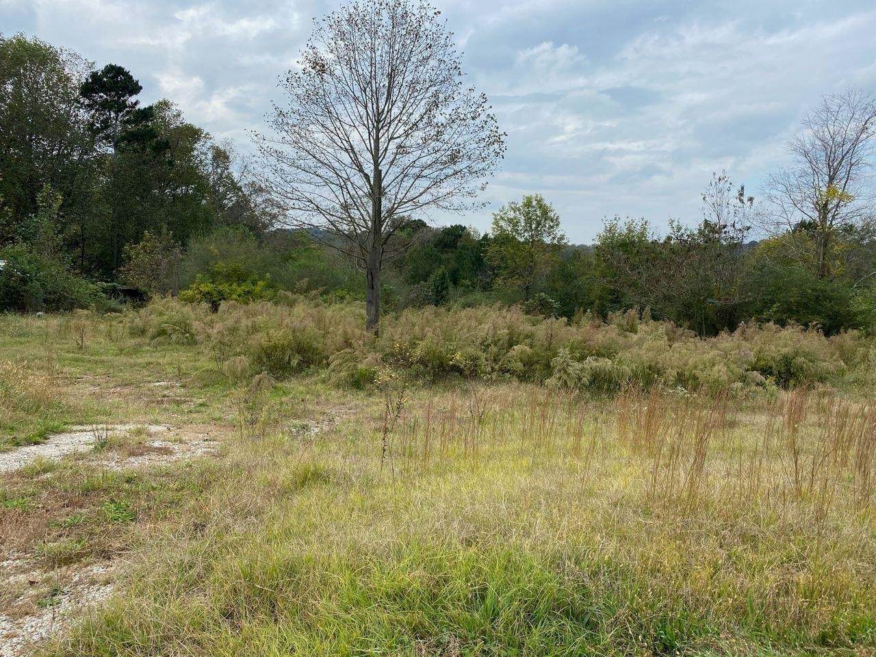1141 Hardman Orchard Road - Photo 1