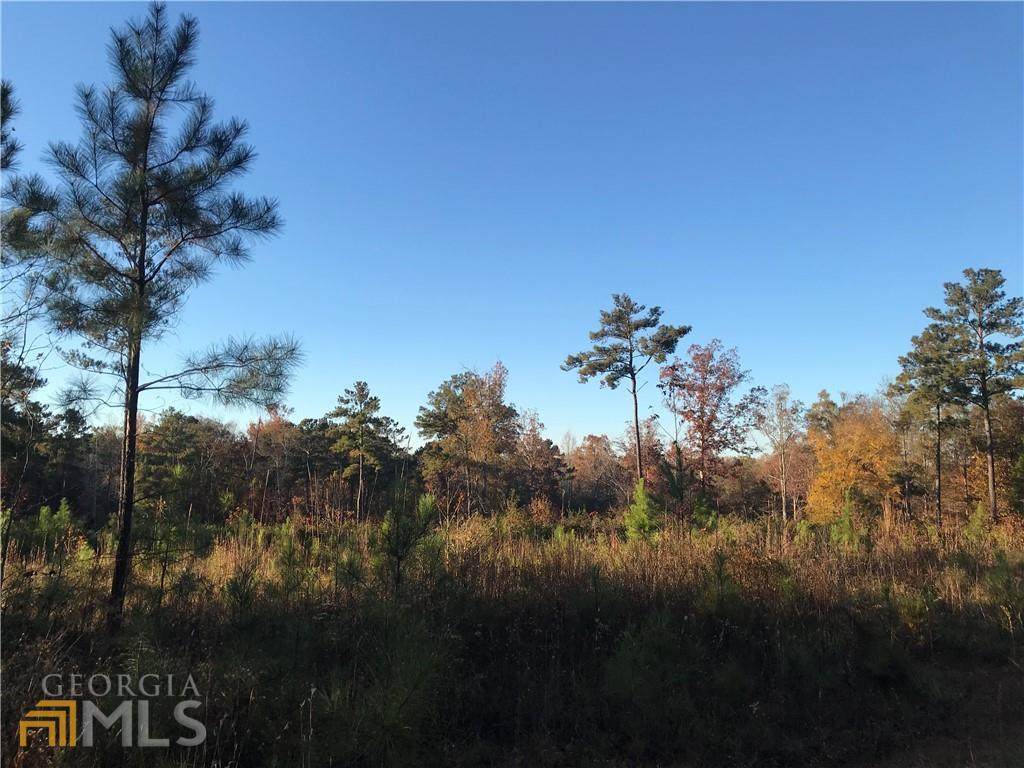 0 Indian Creek Trail - Photo 1