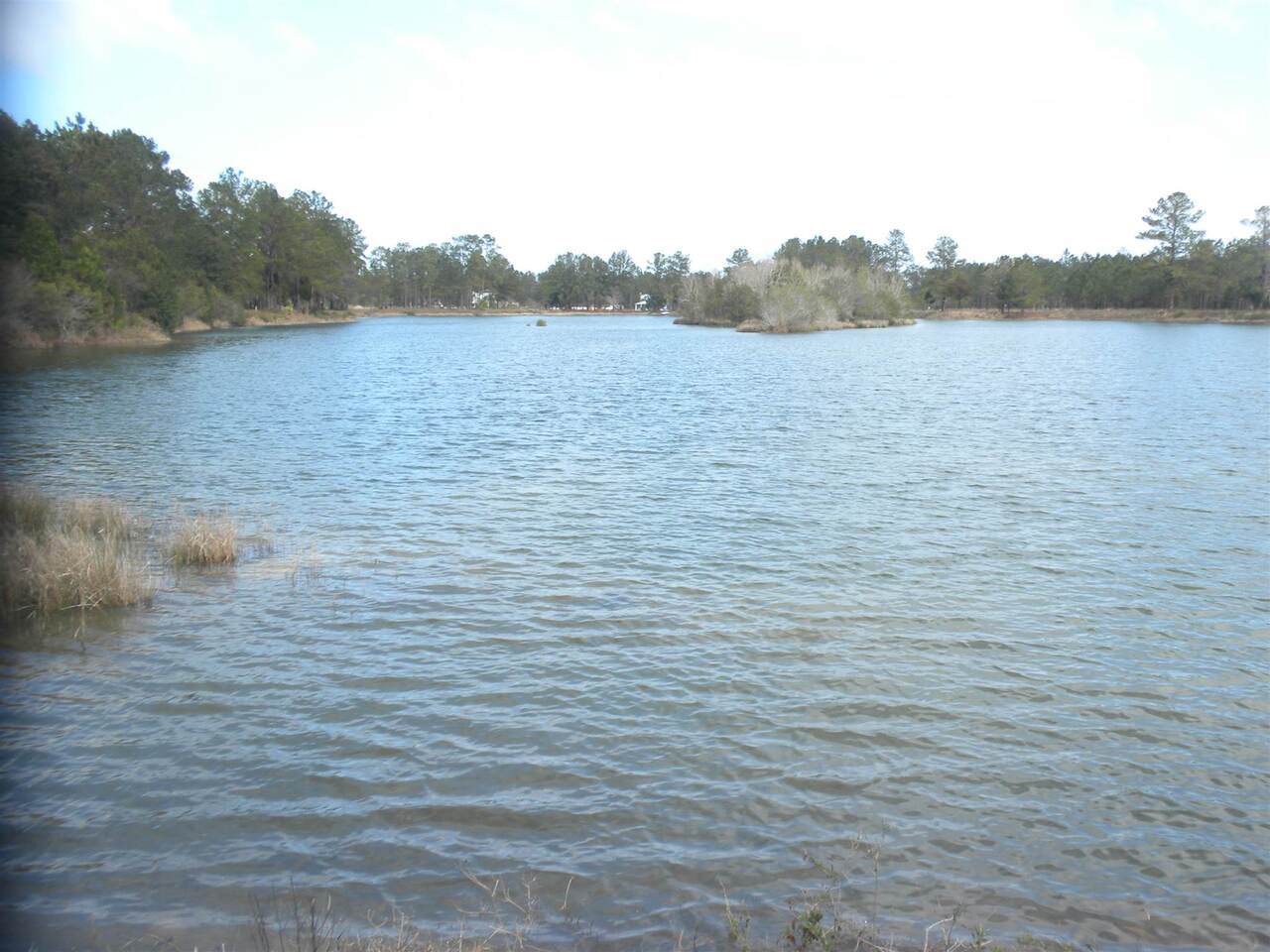 1325 Janells River Drive - Photo 1