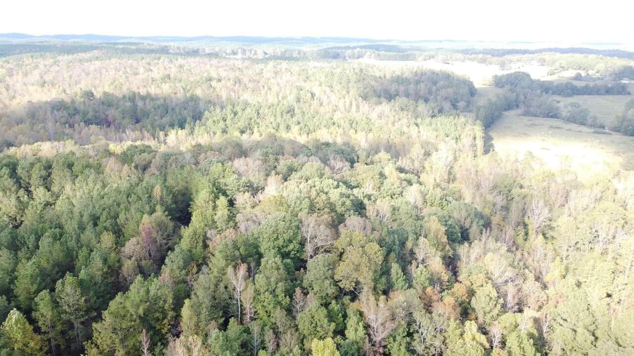 0-12 County Rd 408 - Photo 1
