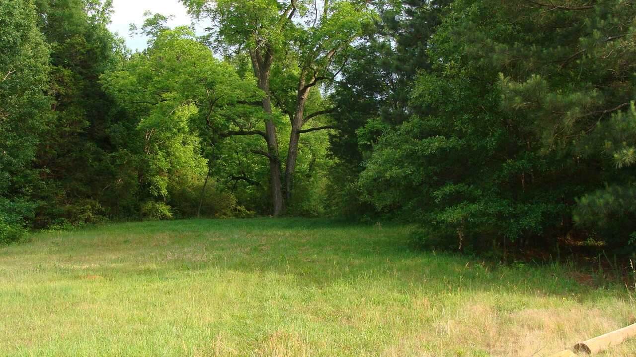 0 Price Rd And Highway 85 - Photo 1