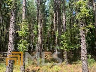 0 Turkey Creek Church Road - Photo 1