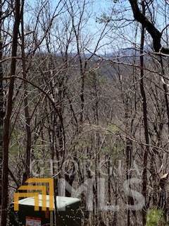 0 Little Eagle Mountain Road - Photo 1