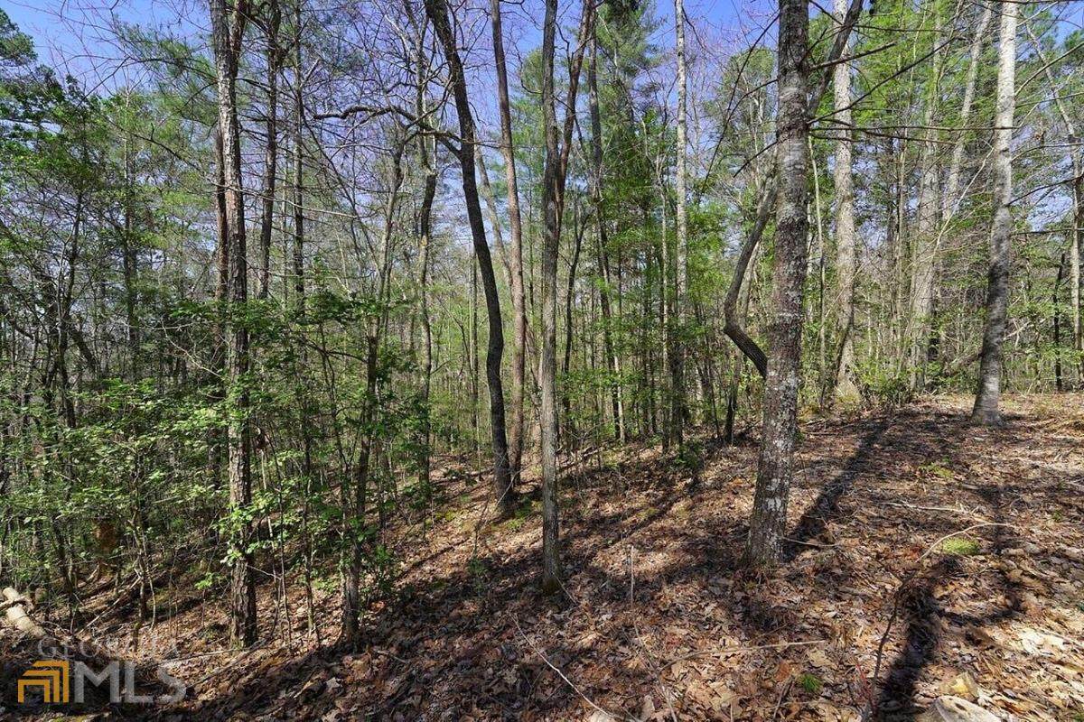 00 Ridge Road - Photo 1