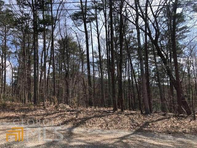 153 Lakeview Road - Photo 1
