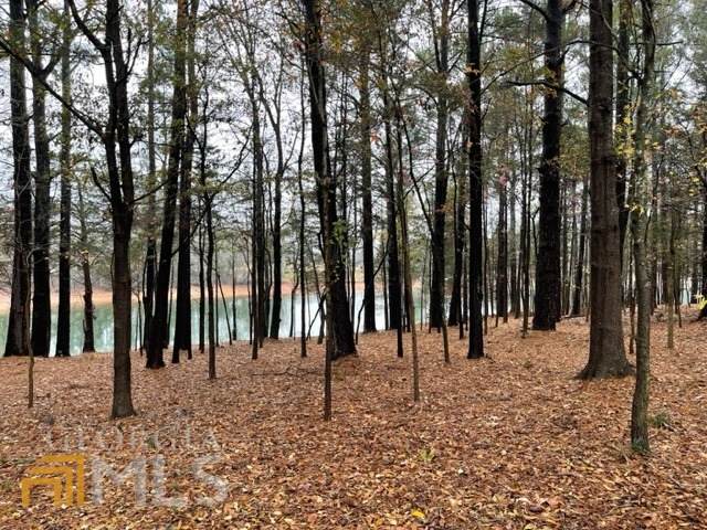 0 Lake Pointe Road - Photo 1