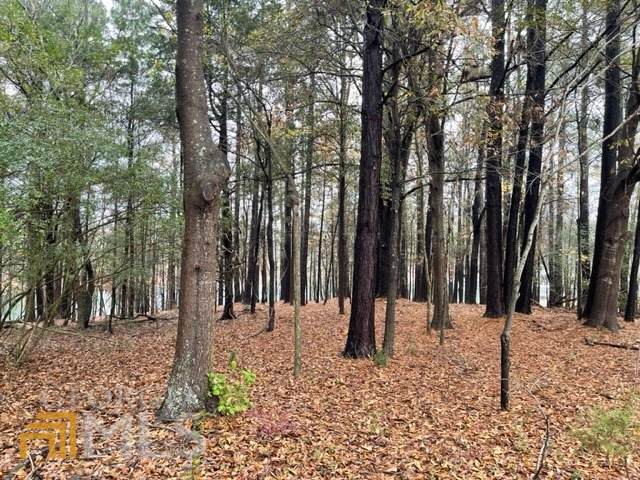 0 Lake Pointe Road - Photo 1