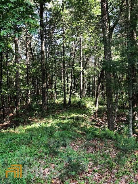 LOT 8 Mountain Falls Overlook - Photo 1