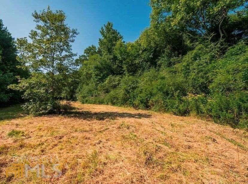 00 Womack Road - Photo 1