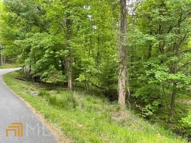 LT574 Satsuma Court - Photo 1