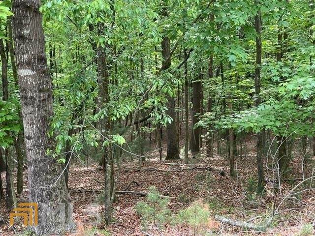 LT298 Etowah Drive - Photo 1