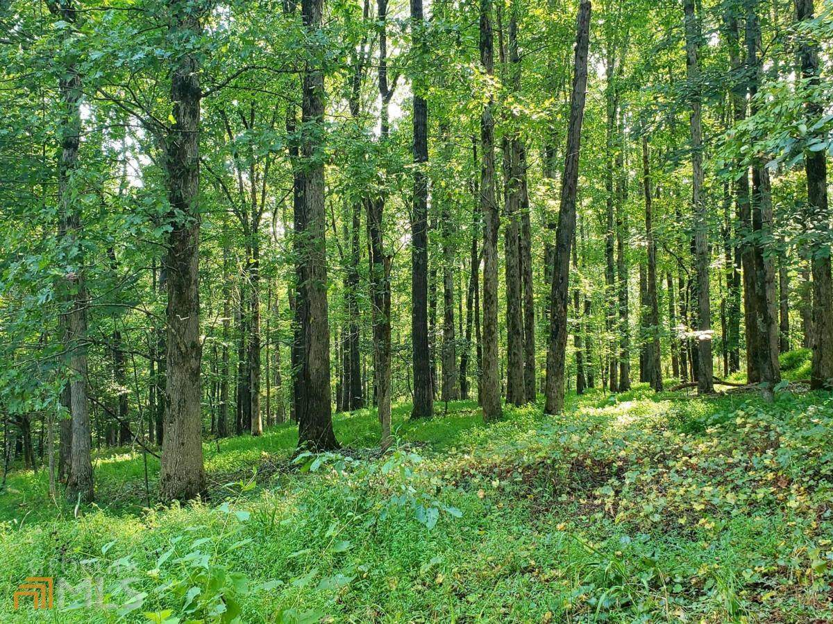 5140 Bryant Quarter Road - Photo 1