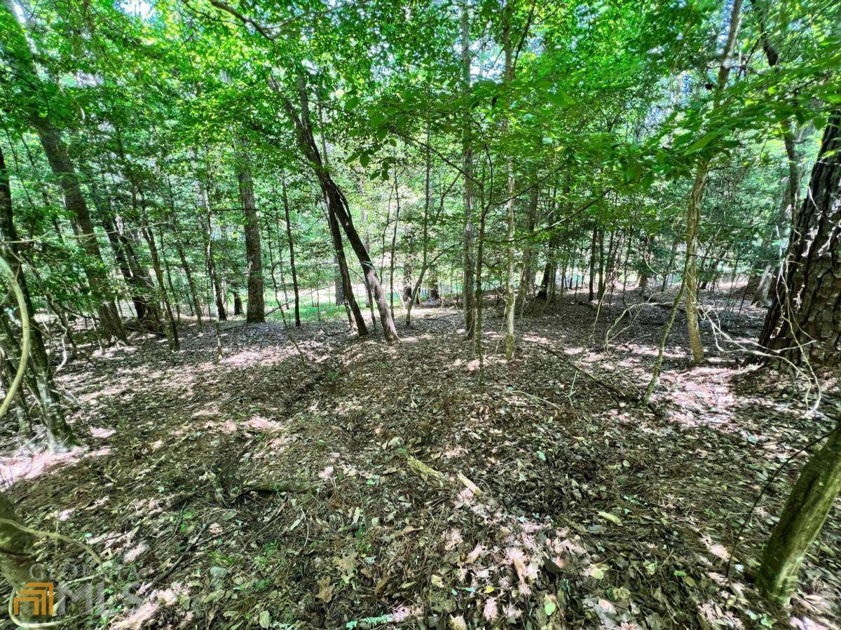 877 Matrix Lane - Photo 1