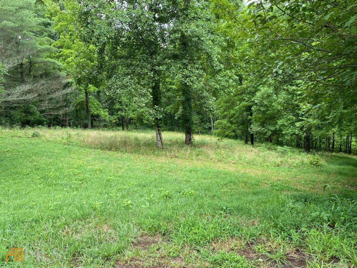 0 Chickasaw Lane - Photo 1