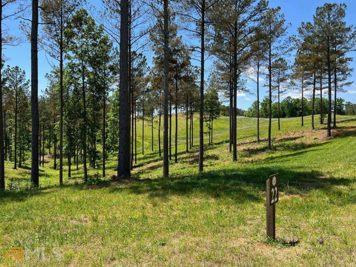 LT 22 High River Road - Photo 1