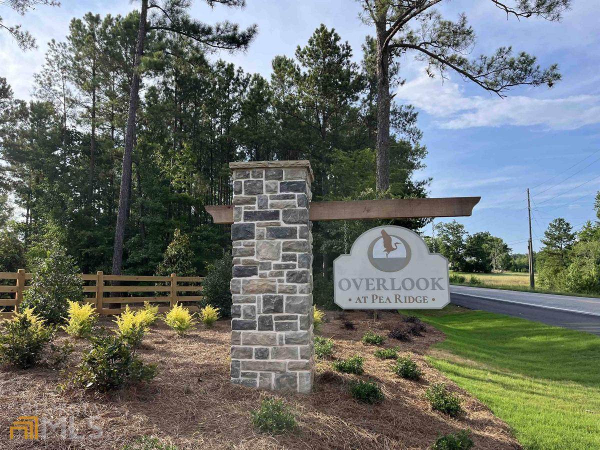 475 Pea Ridge Road - Photo 1