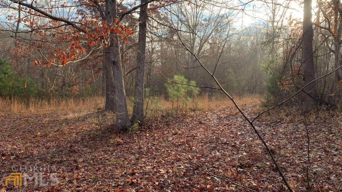 1399 Eastbrook Road - Photo 1