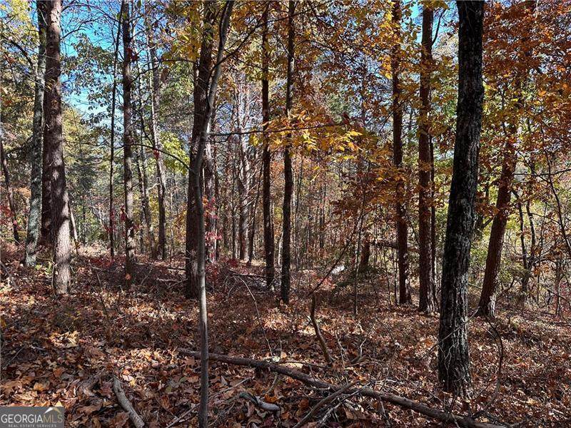 1334 Birch Lane - Photo 1