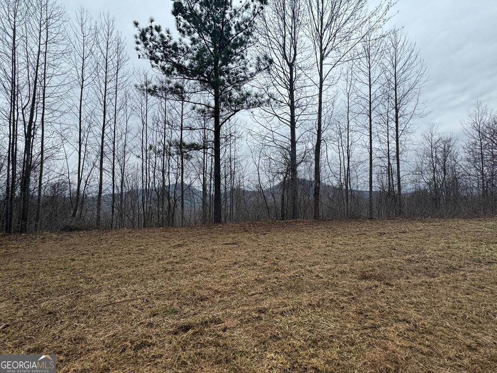 LOT 10 Chatuge Manor Drive - Photo 1